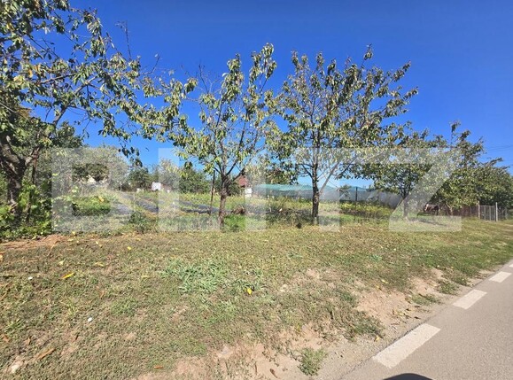 Teren de vânzare Micești - 178263TV | BLITZ Alba Iulia | Poza1