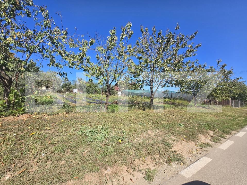 Teren de vânzare Micești - 178263TV | BLITZ Alba Iulia | Poza1