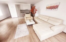 Duplex 4 camere de inchiriat, 156 mp utili, zona Ampoi 3