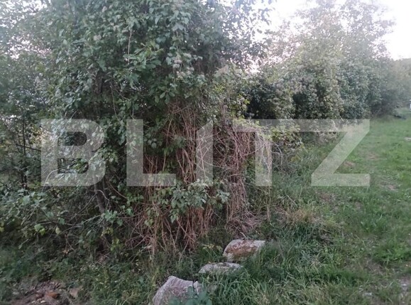 Teren de vânzare Aiud - 178398TV | BLITZ Alba Iulia | Poza3