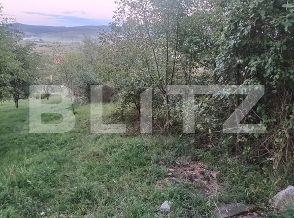 Teren de vânzare Aiud - 178398TV | BLITZ Alba Iulia | Poza2