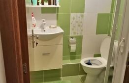 Apartament cu 3 camere, decomandat, 46 mp, Sebes