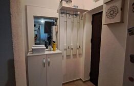 Apartament cu 3 camere, decomandat, 46 mp, Sebes