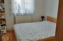 Apartament cu 3 camere, decomandat, 46 mp, Sebes