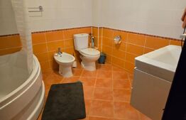 Apartament cu 3 camere,decomandat, 102 mp utili,curte 100 mp, zona Cetate