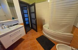 Apartament cu 3 camere,decomandat, 102 mp utili,curte 100 mp, zona Cetate