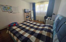 Apartament cu 3 camere,decomandat, 102 mp utili,curte 100 mp, zona Cetate