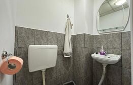 Spațiu comercial de închiriat, 30 mp – Zona Tolstoi