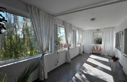 Proprietate RARĂ ultracentrală – casă spațioasă cu 8 camere + spațiu comercial