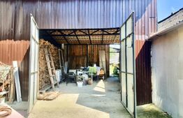 Casa de vanzare cu curte si anexe, teren 1253 mp, Berghin