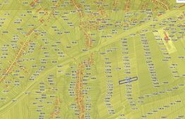 Teren intravilan 7.600 mp – ideal pentru HALĂ industrială, zona Vintul de Jos 