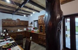 Casă de vânzare, 271 mp, zona Oiejdea