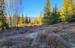 Teren de vânzare Partoș - 189881TV | BLITZ Alba Iulia | Poza5