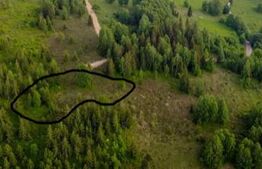 Teren intravilan 3120 mp – Munții Apuseni, Sohodol (com. Albac)