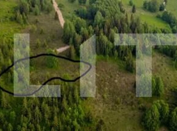 Teren de vânzare Arieseni - 179160TV | BLITZ Alba Iulia | Poza2