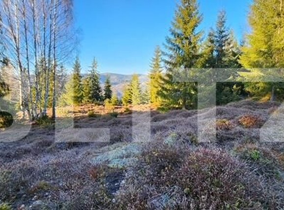 Teren de vânzare Arieseni - 179160TV | BLITZ Alba Iulia | Poza1