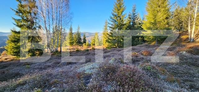 Teren de vânzare Arieseni - 179160TV | BLITZ Alba Iulia | Poza1