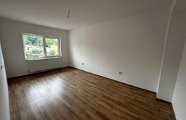 Duplex, curte 300 mp, strada Viitor