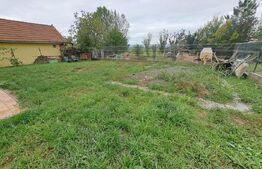 Casa 5 camere, 190 mp utili, 800 mp teren, Recea