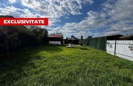  Casă cu 5 camere și teren generos de 2.044 mp, Vintul de Jos