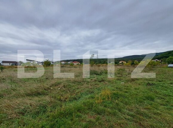 Teren de vânzare Micești - 179554TV | BLITZ Alba Iulia | Poza1