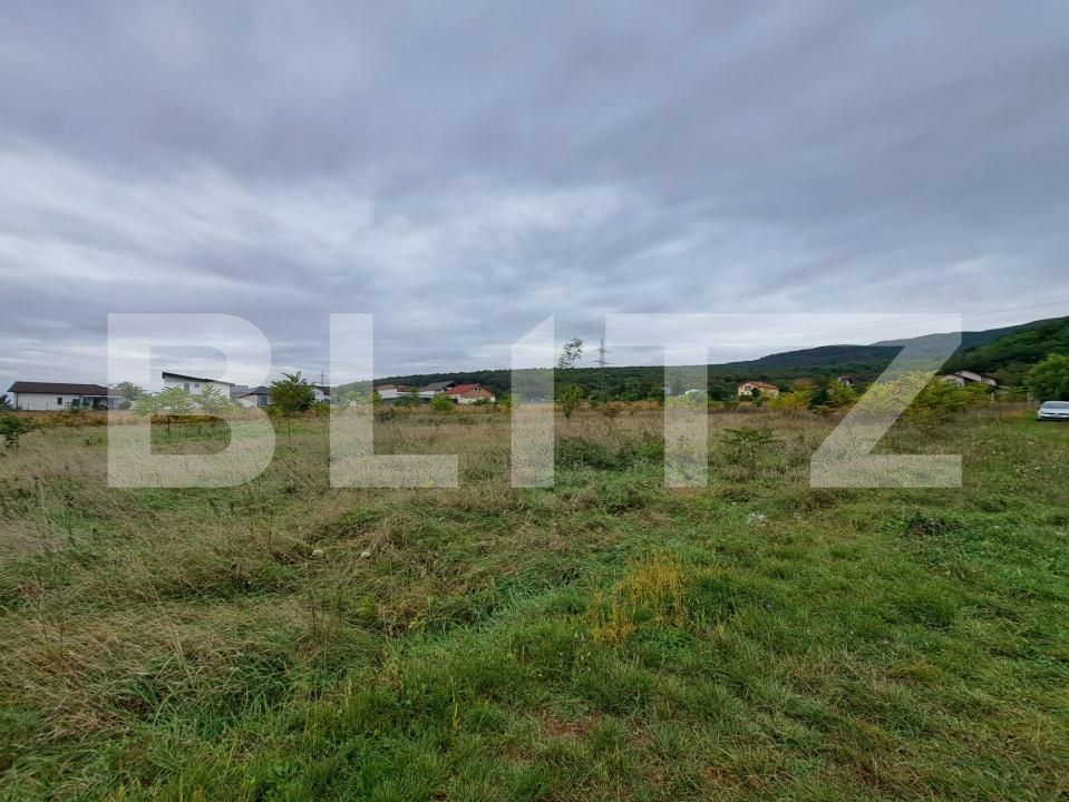 Teren de vânzare Micești - 179554TV | BLITZ Alba Iulia | Poza1