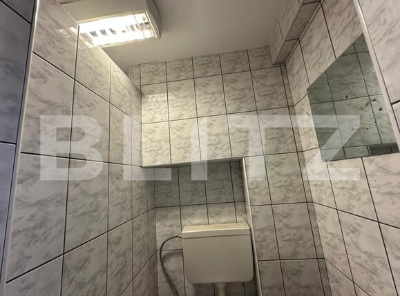 Spațiu comercial de închiriat Cugir - 179597SIC | BLITZ Alba Iulia | Poza7