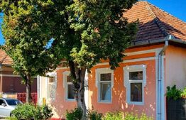 Casă de vânzare cu 3 camere aproape de Băile Sărate - Ocna Mureș