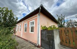 Casă de vânzare cu 3 camere aproape de Băile Sărate - Ocna Mureș