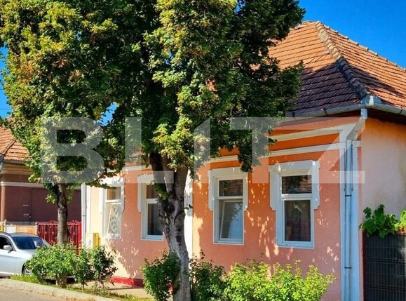 Casa de vânzare 3 camere Ocna Mures - 179780CV | BLITZ Alba Iulia | Poza4