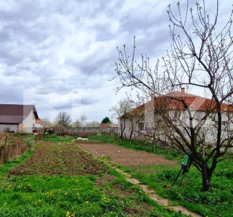 Casa de vânzare 3 camere Ocna Mures - 179780CV | BLITZ Alba Iulia | Poza4