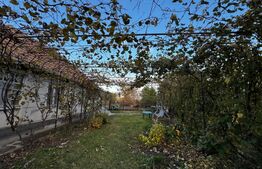 Casă de vânzare în Decea, Alba – poziție excelentă