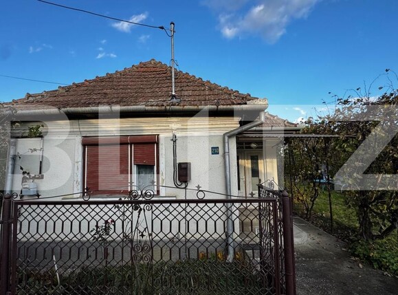 Casa de vânzare 3 camere Unirea - 179874CV | BLITZ Alba Iulia | Poza1