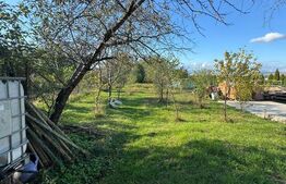 Casă individuală de vânzare în Ciugud