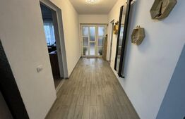 Casa de vanzare, Barabant