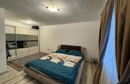 Casa de vanzare, Barabant