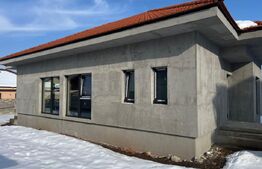 Casă 4 camere predare la gri, 110 mp, zona Albac - Micesti