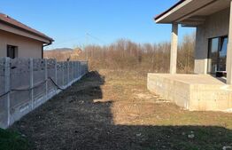 Casă 4 camere predare la gri, 110 mp, zona Albac - Micesti
