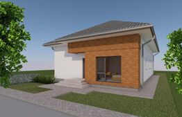 Casă 4 camere predare la gri, 110 mp, zona Albac - Micesti