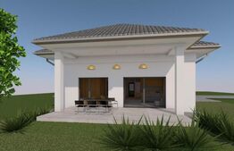 Casă 4 camere predare la gri, 110 mp, zona Micesti