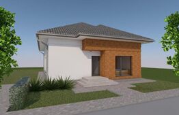 Casă 4 camere predare la gri, 110 mp, zona Micesti