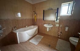 Casa de vanzare, 390 mp, zona Cetate