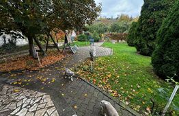 Casa de vanzare, 390 mp, zona Cetate