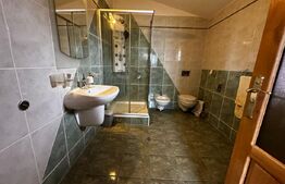 Casa de vanzare, 390 mp, zona Cetate