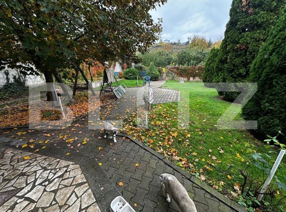 Casa de vânzare 8 camere Cetate - 180375CV | BLITZ Alba Iulia | Poza25