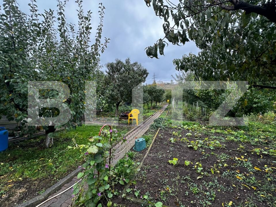 Casa de vânzare 8 camere Cetate - 180375CV | BLITZ Alba Iulia | Poza24