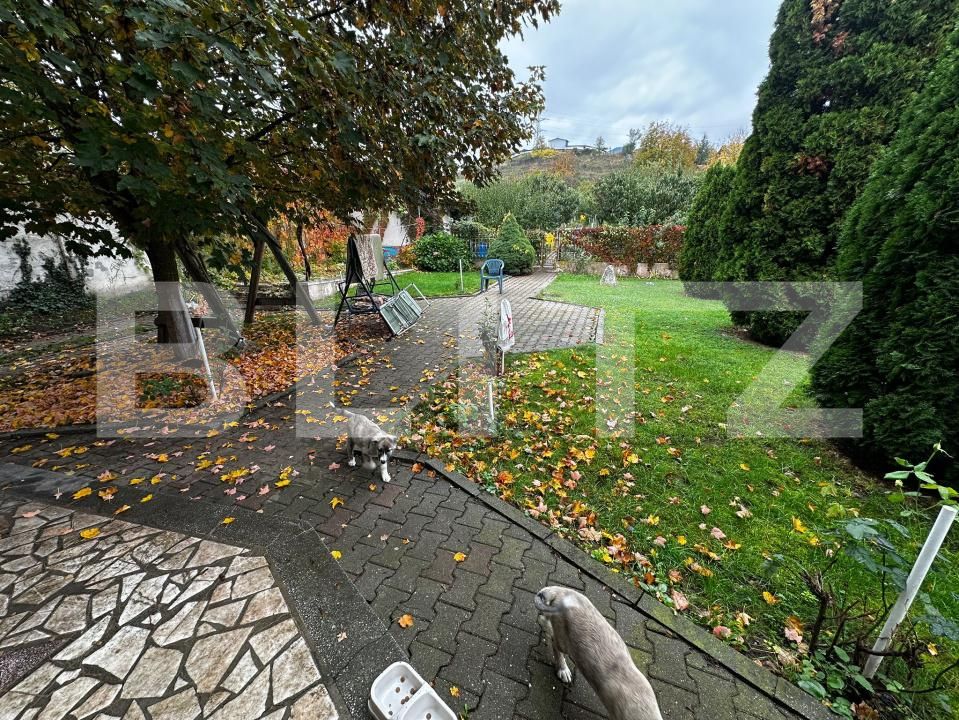 Casa de vânzare 8 camere Cetate - 180375CV | BLITZ Alba Iulia | Poza25