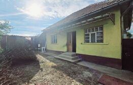 Casa individuala cu 2 camere, 740 mp teren, B dul Revolutiei