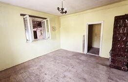 Casa individuala cu 2 camere, 740 mp teren, B dul Revolutiei