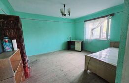 Casa individuala cu 2 camere, 740 mp teren, B dul Revolutiei